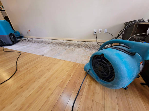 Professional Ceiling Water Damage Repair technician working in Beaumont, MS